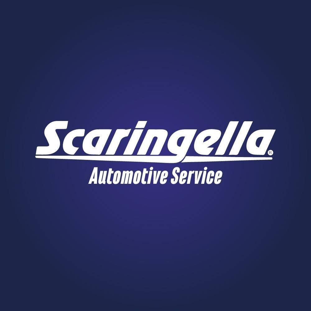 Scaringella Service